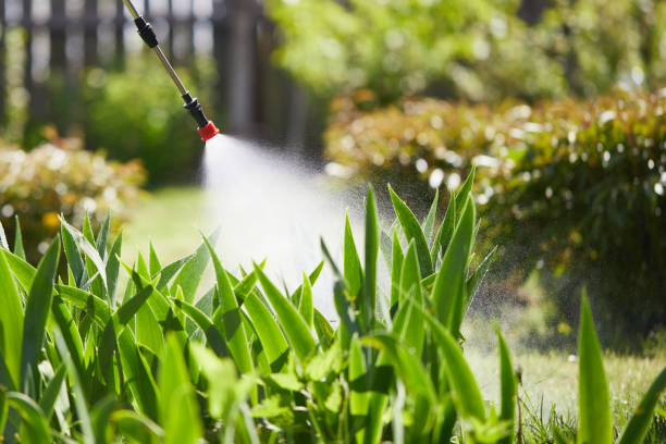 24/7 Emergency Cockroach Control experts in Columbus, MT